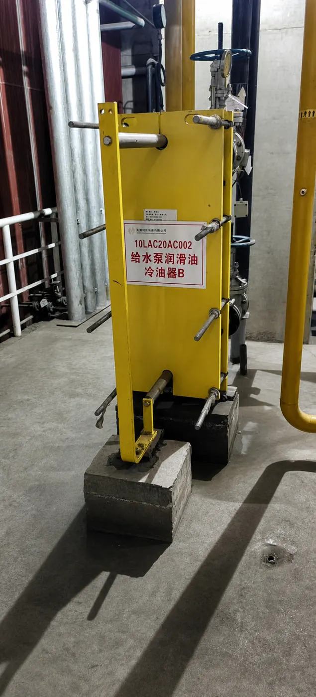 Henglian Wucaiwan Power Plant project site 3